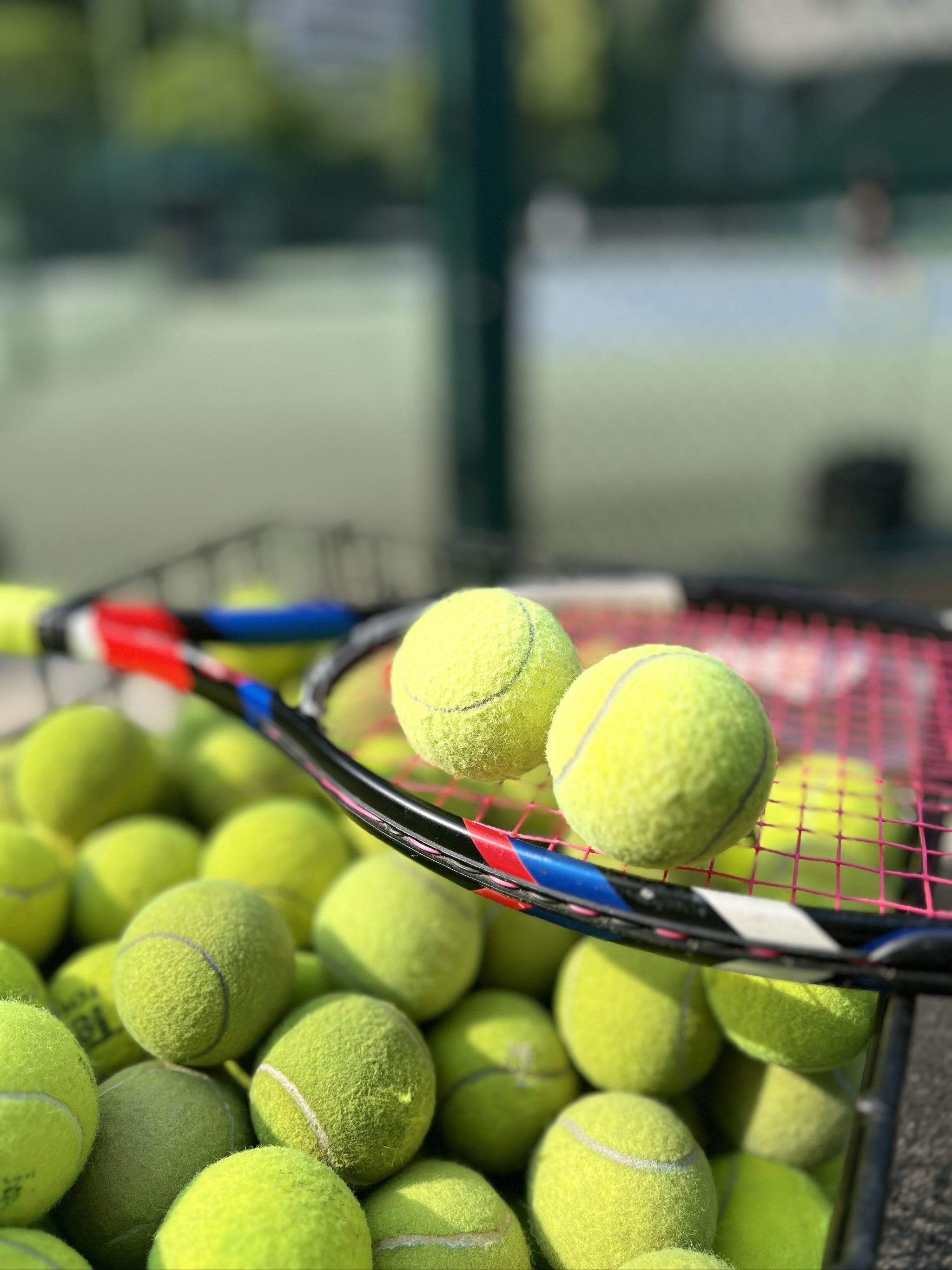 秘诀在于 秘诀在于